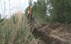 Оросительные каналы расчищают в Восточно-Казахстанской области
