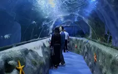 Океанариум в Астане: где находится, что посмотреть и сколько стоит билет