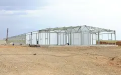 В Карагандинской области начали строительство крупнейшей молочно-товарной фермы