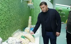 В рамках визита в Китай проведены переговоры о начале глубокой переработки чеснока в Туркестанской области