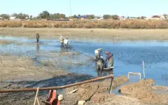 В селе Басыкара восстанавливают рыбопитомник