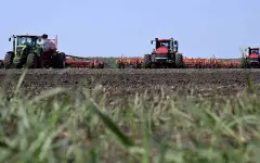 Субсидирование повышения урожайности и качества продукции растениеводства: внесены изменения