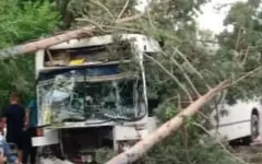 Автобус попал в ДТП в Костанае, есть пострадавшие