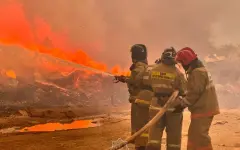 Мощный пожар близ шоссе удалось потушить в Астане