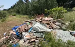 Жители Тбилиси недовольны нерегулярным вывозом мусора