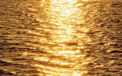 Хватит ли воды в озере Балхаш для эксплуатации первой в Казахстане АЭС