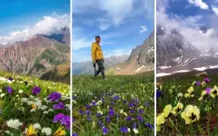 Фантастическая красота: фотограф поразил казахстанцев видами альпийских лугов Алатау