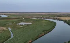 1,5 млрд кубометров воды направили по реке Шу в Созакский район Туркестанской области