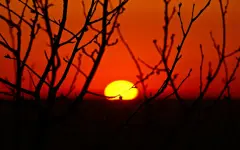Очень сильная жара до +46°С: Казгидромет опубликовал прогноз погоды на 18 июня