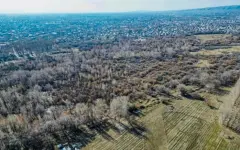 Сенаторы одобрили закон по вопросам особо охраняемых природных территорий