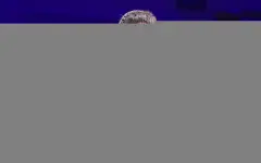 Казахстан завоевал три золотые медали на старте молодежного ЧА по греко-римской борьбе во Вьетнаме