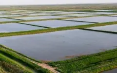 Потери воды на ирригационных сетях снизились до 193 млн кубометров в год - Минводы