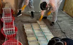 Крупную лабораторию по производству мефедрона ликвидировали в Таразе