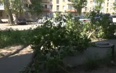 Ураган в Павлодаре: местные власти приступили к оценке ущерба
