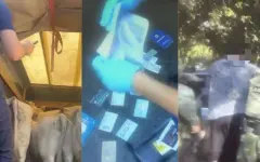Серия скотокрадств раскрыта в области Жетісу