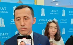 Ержан Биржанов о налоге на роскошь в Налоговом кодексе: Крупные покупки нужно будет декларировать