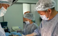 1,5 кг волос в животе: хирурги в Алматы спасли девочку с гигантским трихобезоаром