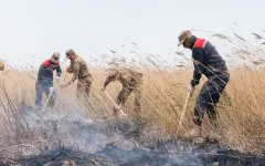В Атырауской области потушили крупный природный пожар