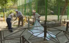 Масштабная уборка в рамках программы «Таза Қазақстан» прошла в Шымкенте