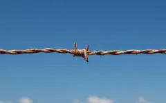 Казахстанцы задержаны в Индонезии: вопрос на контроле дипломатов