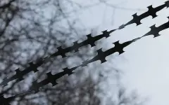 Пять стран НАТО собираются создать в Европе железный занавес – СМИ