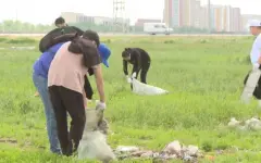 В экоакции «Таза Қазақстан» приняли участие около 2 млн человек