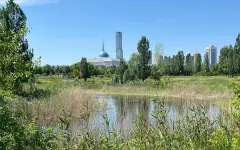 Зеленый пояс Астаны получит усиленную правовую защиту