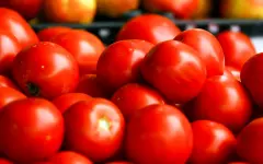 С грядки на стол: сельхозярмарка пройдёт в Астане