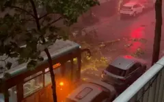 Шторм во Франции: обесточены 100 тысяч домов
