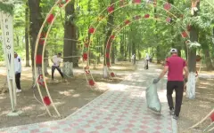 Свыше 300 стихийных мусорных свалок ликвидировали в Жамбылской области