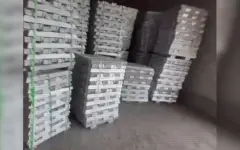 Криминальная схема вывоза стратегического сырья за границу выявлена в области Жетiсу