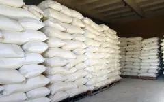 Наркотики обнаружены в гуманитарной помощи для жителей Газы