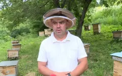 Плата за пользование лесным фондом выросла в Жетысу