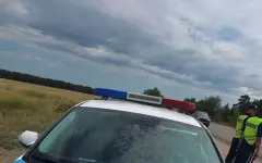 День безопасной дороги провели в Казахстане