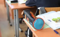 Глава Минпросвещения о штрафах за маты детей: Должны прийти к гуманным подходам
