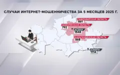 18 тысяч казахстанцев стали жертвами кибераферистов за 5 месяцев