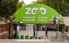 В Алматинском зоопарке сообщили хорошую новость