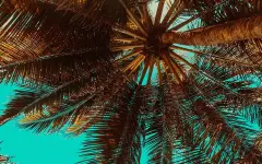 Астрологи перечислили знаки зодиака, для которых это лето будет особенным