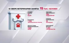 В сфере ветеринарии заняты 15 тысяч казахстанцев