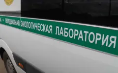 Экологи оценивают состояние водоёмов в Павлодарской области