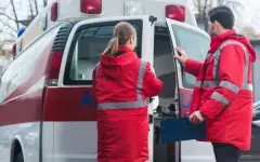 Собаки покусали двух павлодарцев