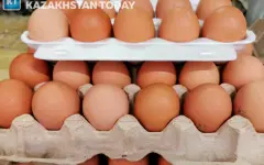 Казахстан усиливает контроль за ввозом яиц
