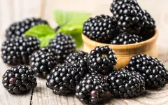 Какие продукты помогут в борьбе с обезвоживанием — нутрициолог