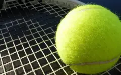 Рыбакина и Путинцева упали в рейтинге WTA после Уимблдона-2025