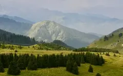 Турист подвернул ногу в алматинских горах на высоте 3400 метров
