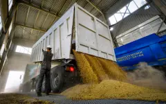 Казахстан увеличил экспорт зерна на 58,4%