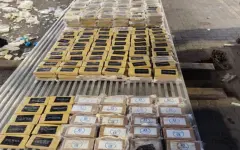 Более 800 килограммов кокаина обнаружили в партии бананов в Санкт-Петербурге