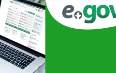 Всеобщее декларирование: как заполнить форму 270.00 через eGov Mobile