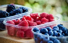 Какие продукты помогут повысить уровень коллагена в организме