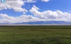 В Атырауской области государству вернули земельные участки на 196 млн тенге